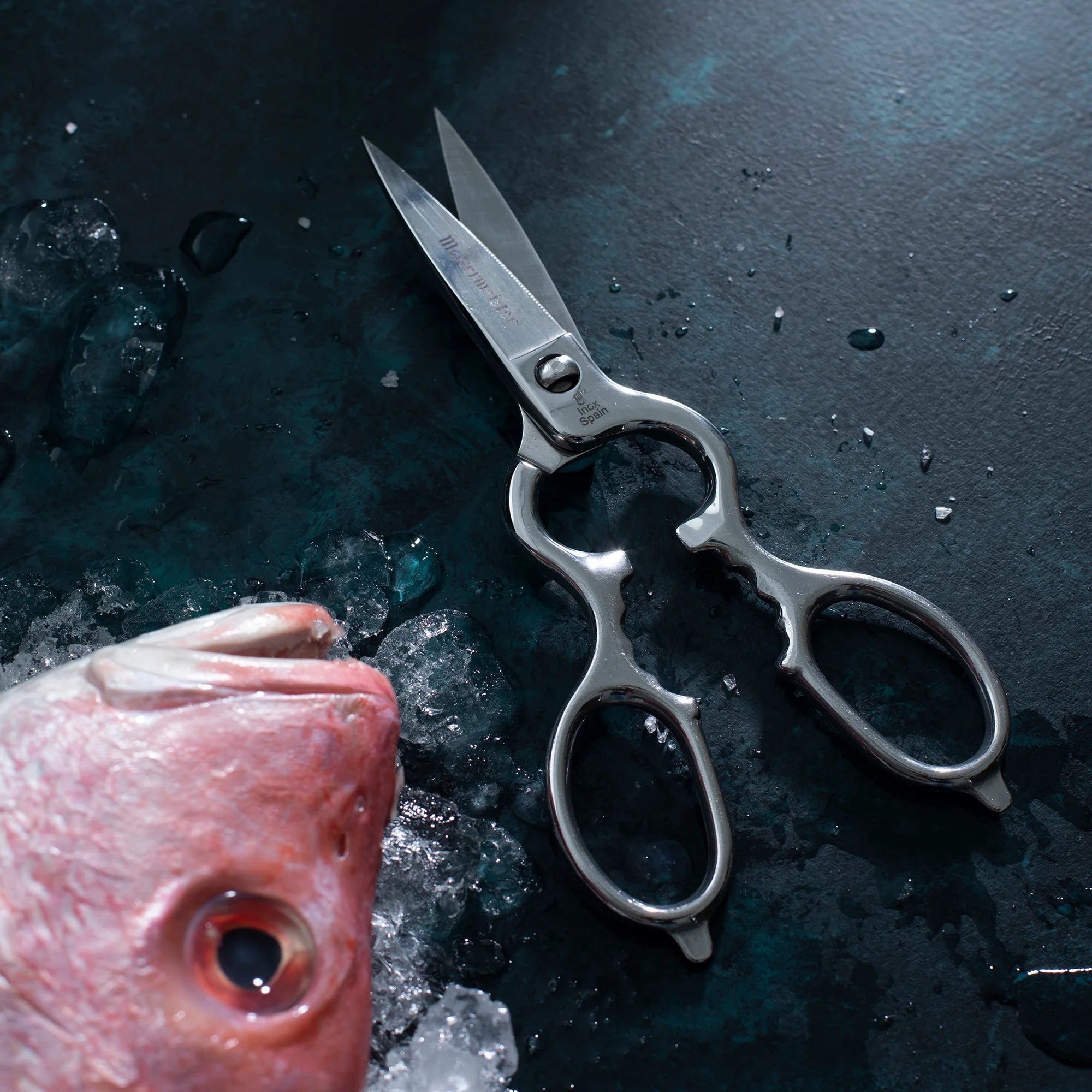 Spanish Kitchen Scissors 8"