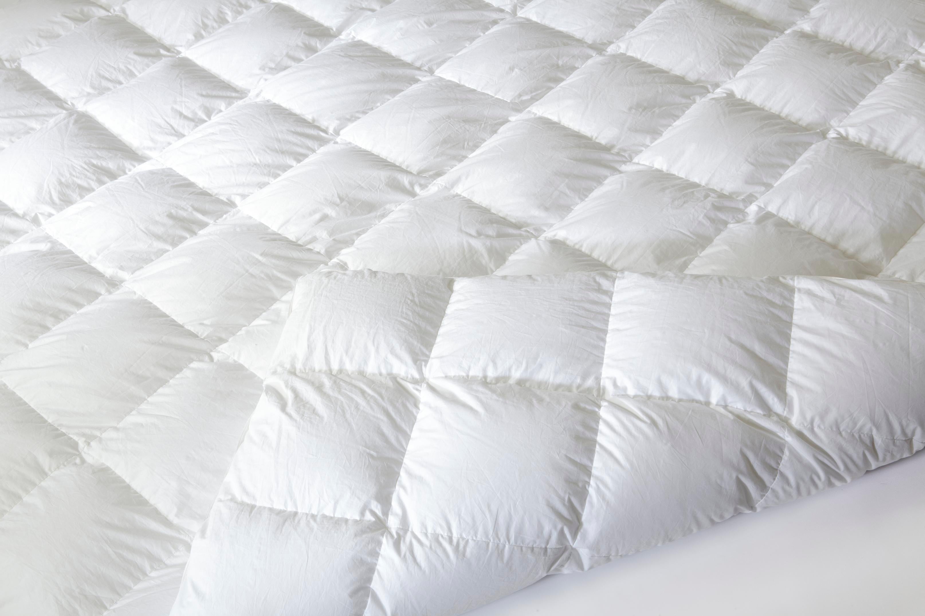 Roland Exclusive IVY2 Down Comforter