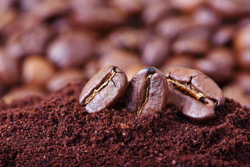 The Daily Grind: How to Grind Coffee Beans